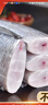 海之幫新鮮帶魚段冷凍刀魚中段特大號洋帶魚深海魚鮮活海鮮帶魚中段 帶魚段4斤【純帶魚中段】 曬單實(shí)拍圖