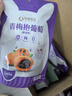 孕味食足梅子組合 適合孕婦吃酸味小零食話梅楊梅西梅蜜餞果脯果干470g 曬單實(shí)拍圖
