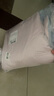 BLISS水星家紡出品床單四件套純棉100全棉2025新款被套床上三件套 可愛萌兔 床單款 2.0m床單四件套被套200*230 曬單實拍圖