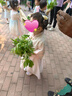 馨年新款兒童漢服頭飾超仙古風步搖流蘇花朵發(fā)夾女童中國風小女孩發(fā)卡 淺黃色流蘇發(fā)夾【一對裝】 曬單實拍圖