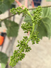 華為 Pura70 Pro+ 二手手機 國行優(yōu)惠券補貼國行優(yōu)惠券補貼 光織銀 16G+512G 曬單實(shí)拍圖