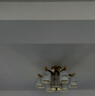 恰逸新中式客廳吊燈實(shí)木中國(guó)風(fēng)大氣別墅自建房大廳餐廳復(fù)式樓中山燈具 【福瑞祥和】6頭/三色調(diào)光 曬單實(shí)拍圖