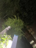 OEMG亮夜市擺攤充電式照明燈戶外露營l帳篷燈多功能led應(yīng)急燈管 【充電款】銅芯+動力鋰電池 亮【應(yīng)急充電燈續(xù)航5H】沖+爆磁+充電寶 曬單實拍圖