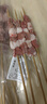 內(nèi)蒙羊肉串清真新鮮原切散養(yǎng)羔羊肉串戶外露營(yíng)燒烤套餐 原切羊肉串凈重1斤30串 曬單實(shí)拍圖