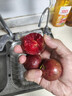 新鮮現摘紅心三華李大果酸脆多汁應季水果果園直發(fā)送椒鹽紅肉李 5斤 大果 曬單實(shí)拍圖