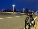 菲利普公路車(chē)自行車(chē)成人男款平把單車(chē)青少年女式輕便超輕變速賽車(chē) F1【暗影灰】手變一體-14速 L碼【175-185CM】 曬單實(shí)拍圖