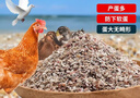 骨粉雞飼料貝殼粉雞補(bǔ)鈣蠔殼粉鈣粉雞鴨鵝飼料補(bǔ)鈣壯骨專用牡蠣粉 1-2mm小顆粒（20斤） 曬單實(shí)拍圖