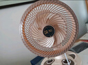 駱駝電風(fēng)扇家用電扇臺(tái)式多功能小型風(fēng)扇學(xué)生宿舍桌面風(fēng)扇可搖頭靜音辦公室桌面臺(tái)扇 米色臺(tái)扇【搖頭/2檔位】 標(biāo)配【1.3米電源線】 曬單實(shí)拍圖