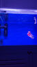 森森（SUNSUN）森森潛水泵魚缸抽水泵水族箱小型換水循環(huán)過濾泵魚池水陸兩用水泵 40W HQB-2200潛水專用送16MM水管2米 曬單實(shí)拍圖