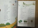 原來我這么棒：讓我更加自信的故事（做最好的自己）彩圖版8-10-12-15歲兒童小學(xué)生成長校園勵志故事三四五六年級課外書必讀 曬單實(shí)拍圖