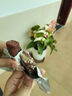 蒙都 0防腐*風(fēng)干牛肉干 原味200g 孕婦兒童 低脂0糖高蛋白零食清真 曬單實(shí)拍圖
