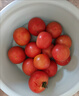 普羅旺斯番茄新鮮生吃自然熟沙瓤柿應(yīng)季蔬菜1斤 正宗自然熟普羅旺斯 0g 5斤裝（沙瓤多汁回頭客多） 曬單實拍圖