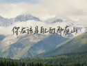 蘋果/華為/vivo/三星/OPPO/IQOO/百元機(jī)學(xué)生機(jī)備用機(jī)二手手機(jī)國行優(yōu)惠券補(bǔ)貼 顏色規(guī)格參考質(zhì)檢報(bào)告 華為手機(jī) 曬單實(shí)拍圖