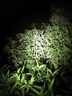 釣魚(yú)頭燈超長(zhǎng)續(xù)航60個(gè)小時(shí)感應(yīng)夜專用超輕頭戴式強(qiáng)光充電超亮戶外 旗艦爆亮-6000V大容量-待續(xù)633天 曬單實(shí)拍圖