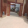 石頭大象公母一對青石石雕吸水象擺件自建房公司別墅門口裝飾原石 招財(cái)象 高50長45寬20厘米一對 曬單實(shí)拍圖
