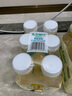 農(nóng)夫山泉 東方樹(shù)葉茉莉花茶500ml*15瓶 0糖0脂0卡無(wú)糖茶飲料 禮盒 曬單實(shí)拍圖