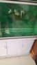 魚缸殺菌燈uv魚池潛水滅菌燈紫外線專用魚缸燈消毒戶外除藻三合一 11w殺菌燈【適用120-150魚缸】 曬單實(shí)拍圖