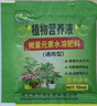 慎思苑睡蓮水培植物四季水養(yǎng)水蓮花苗耐寒大睡蓮根塊荷花睡蓮帶芽發(fā)貨 混合顏色3顆球根 曬單實(shí)拍圖