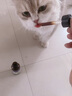 醫(yī)仕高狗狗微量元素精華液改善異食癖貓咪維生素礦物質(zhì)營(yíng)養(yǎng) [改善異食癖]微量元素精華液30ml 曬單實(shí)拍圖