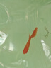 魚(yú)官兒 純種孔雀魚(yú)活體熱帶魚(yú)觀(guān)賞魚(yú)鳳尾魚(yú)淡水繁殖孕母孔雀適合新手養 鴻運當頭孔雀魚(yú)1對 曬單實(shí)拍圖