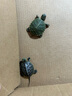 奈寵淡水小魚(yú)干無(wú)鹽寵物龜糧小烏龜倉鼠淡水魚(yú)干零食曬風(fēng)干新鮮小魚(yú)干 精選淡水魚(yú)干1200ml 曬單實(shí)拍圖