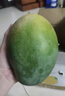 京鮮生 攀枝花凱特芒果 凈重4.5斤 單果600g 生鮮水果 源頭直發(fā) 曬單實拍圖