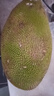 京逸海南菠蘿蜜黃肉干苞新鮮水果當(dāng)季木波羅蜜三亞特產(chǎn)8-35斤一整個(gè) 20-25斤【高性價(jià)比大果推薦】 曬單實(shí)拍圖