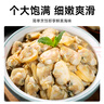 靈略新鮮活剝蛤蜊肉凈重1.8斤 花甲花蛤蜆子肉大號去殼去沙 生鮮 貝類 曬單實拍圖