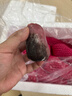優(yōu)味集黑金剛蓮霧【JD順豐速發(fā)】新鮮海南霧蓮熱帶孕婦水果整箱包郵 3斤凈果（約12-18個(gè)） 曬單實(shí)拍圖