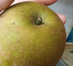 上海特產(chǎn)莊行蜜梨奉賢蜜梨翠冠梨當(dāng)季水果焦溪蜜梨上海雪梨生梨 8-10只7斤梨王禮盒（翠冠蜜梨） 曬單實(shí)拍圖