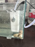森森 小鯉魚(yú)缸過(guò)濾器凈水循環(huán)三合一內(nèi)置水族箱過(guò)濾系統(tǒng)XQP-500F 6W 曬單實(shí)拍圖