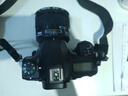尼康（Nikon）【國家補(bǔ)貼】D780全畫幅數(shù)碼單反相機(jī) 高清視頻拍攝VLOG攝影 D780 單機(jī)（兼顧靜態(tài)影像與視頻） 曬單實(shí)拍圖