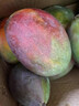 閩域?qū)r四川攀枝花凱特芒果 【閃送】特大芒果青皮金煌貴妃當(dāng)季送禮水果 精選裝｜凈重4.5-5斤裝｜超劃算裝 精選裝｜單果300克+｜甜 曬單實(shí)拍圖
