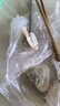 船歌魚水餃全家福鲅魚水餃墨魚黃花魚蝦拼盤480g/袋 24只 早餐面點(diǎn)速凍餃子 曬單實(shí)拍圖