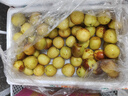 京鮮生 陜西大荔冬棗 冬棗 凈重3斤 單果16g+ 生鮮水果 源頭直發(fā) 曬單實拍圖