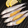 母體多春魚滿籽率95%大號多春魚500g生鮮香煎油炸燒烤商用 多春魚(大號)500g*1袋 曬單實拍圖