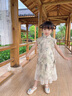 DOMIAMIAKIDS兒童漢服男童中國(guó)風(fēng)套裝女童唐裝寶寶夏裝中式古風(fēng)民族演出服 新中式套裝女 120 曬單實(shí)拍圖