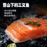 泰明揚新疆三文魚(yú)中段 去皮整塊切片刺身壽司生魚(yú)片 冷凍冰鮮即食生鮮 去皮切片凈重 800g 【精修無(wú)邊角】 冰鮮【當日現切】 曬單實(shí)拍圖
