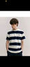 Teenie Weenie Men小熊男裝簡約條紋T恤男夏季休閑圓領短袖情侶T 白色 2XL 185 曬單實拍圖