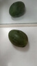 【新鮮上市】正宗攀枝花凱特芒果新鮮水果 帶箱2斤200g+ 曬單實(shí)拍圖