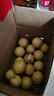 探味君 廣西欽蜜9號(hào)黃金百香果 新鮮水果白香果醬原漿整箱 生鮮 30個(gè)裝【單果30-50g】 曬單實(shí)拍圖