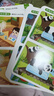 【全4盒】專注力訓(xùn)練找不同 3-4歲 4-5歲 5-6歲 6-8歲 入門篇初級(jí)篇中級(jí)篇高級(jí)篇 控筆訓(xùn)練手眼協(xié)調(diào)左右腦開發(fā)記憶力觀察力邏輯力訓(xùn)練提高智力 曬單實(shí)拍圖