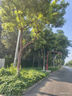 特步一體成型3代跑步鞋男體考耐久競(jìng)訓(xùn)支撐輕盈跑鞋女休閑運(yùn)動(dòng)情侶鞋 白/極光綠/石青藍(lán)-勢(shì)如破竹-男 44 曬單實(shí)拍圖