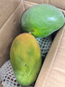京鮮生 攀枝花凱特芒果 凈重4.5斤 單果600g 生鮮水果 源頭直發(fā) 曬單實(shí)拍圖