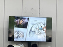 小米電視可移動(dòng)電視機(jī)65/55/50/43/32英寸直播大屏投屏顯示器客廳臥室廣告圖片播放投屏?xí)h平板一體機(jī) 65英寸 【移動(dòng)套裝】65英寸+移動(dòng)落地支架 曬單實(shí)拍圖