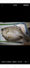 仙泉湖三去白蕉海鱸魚1斤/條凈膛冷凍刺少肉厚珠海特產(chǎn)500g生鮮食材 曬單實(shí)拍圖