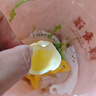 三寶黃河原創(chuàng)2188擺攤打靶氣球?qū)Ｓ脴?mm玩具槍高端發(fā)射器塑料圓硬彈 手動 1個(gè) 夜色[升級加強(qiáng)版] 玩具+2000彈+500氣球+靶布+氣筒 曬單實(shí)拍圖