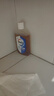 威露士（Walch）消毒液630ml 衣物消毒水家居寵物除菌除螨滅流感病毒非84酒精 曬單實(shí)拍圖