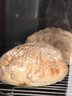 吾雙全麥恰巴塔400g早餐烘焙即食法式全麥面包三明治面包胚歐包 提子橙丁恰巴塔【100g*4個(gè)】 曬單實(shí)拍圖