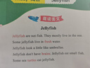 得力（deli） 快干印臺(tái)海綿芯大號(hào)速干印泥印章盒印墨蓋章用墨水辦公用章印尼秒干按手印指紋印泥水硬泥 1個(gè)圓形印臺(tái)【天地蓋】 曬單實(shí)拍圖